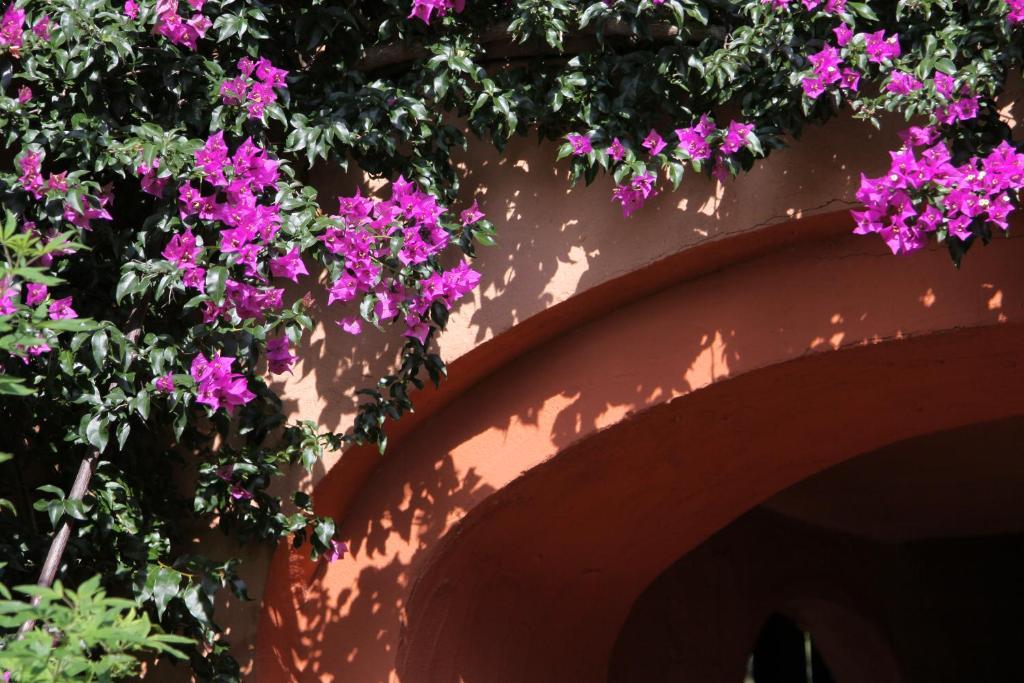 Hotel Castell'verde Porto Vecchio
